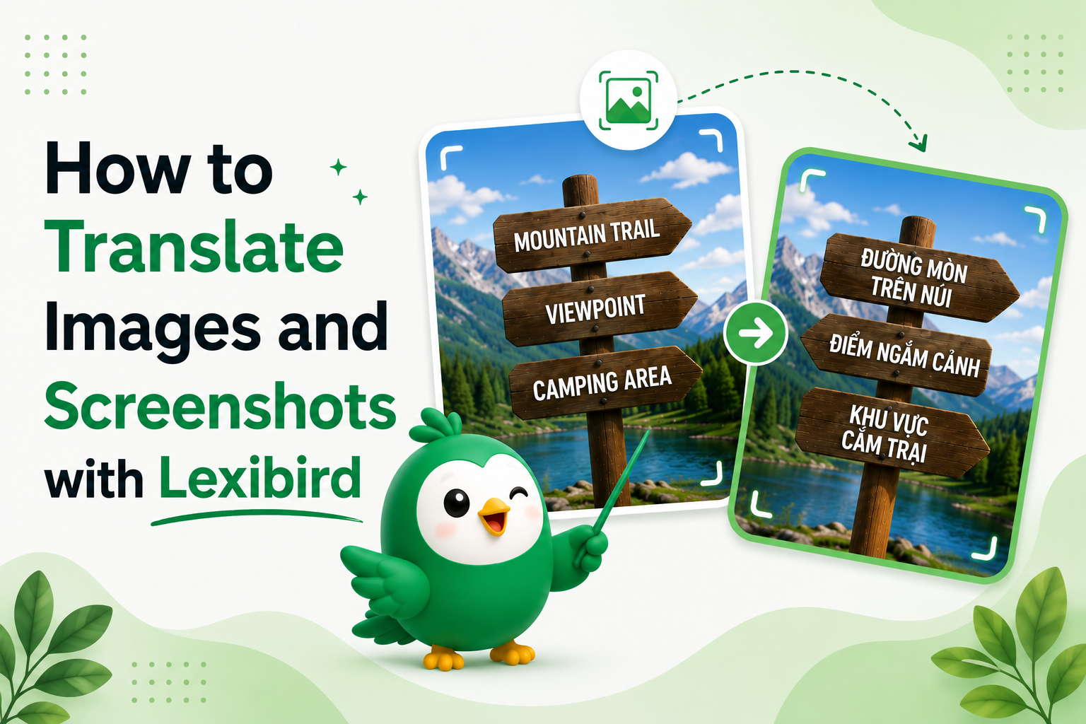 How to Translate Images and Screenshots with Lexibird